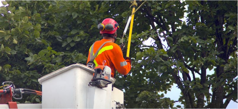 Nacela de inchiriat in Bucuresti/Ilfov